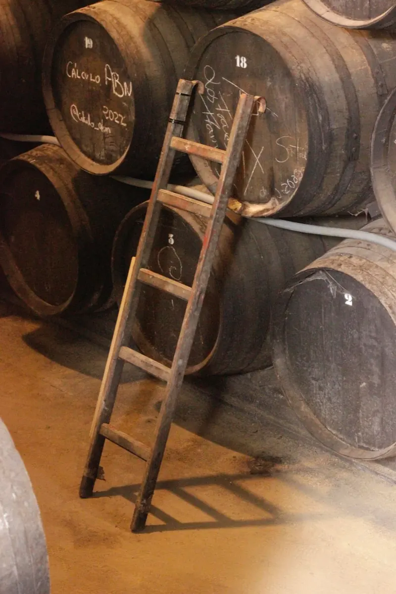 Una escalera de mano entre las barricas de la bodega